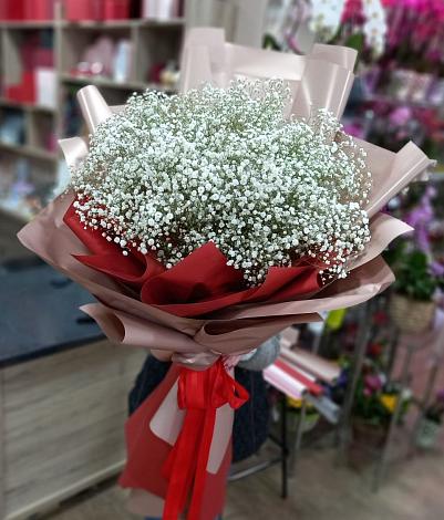 Букет цветов из: Гипсофила в Горшечное