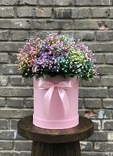 Цветочная композиция из Гипсофила и Розы в шляпной коробке #REPLACE_PRED# Горшечное