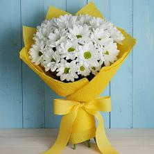 Букет цветов из:  Хризантемы в Горшечное