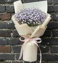 Букет цветов из:  Гипсофила #REPLACE_PRED# Горшечное