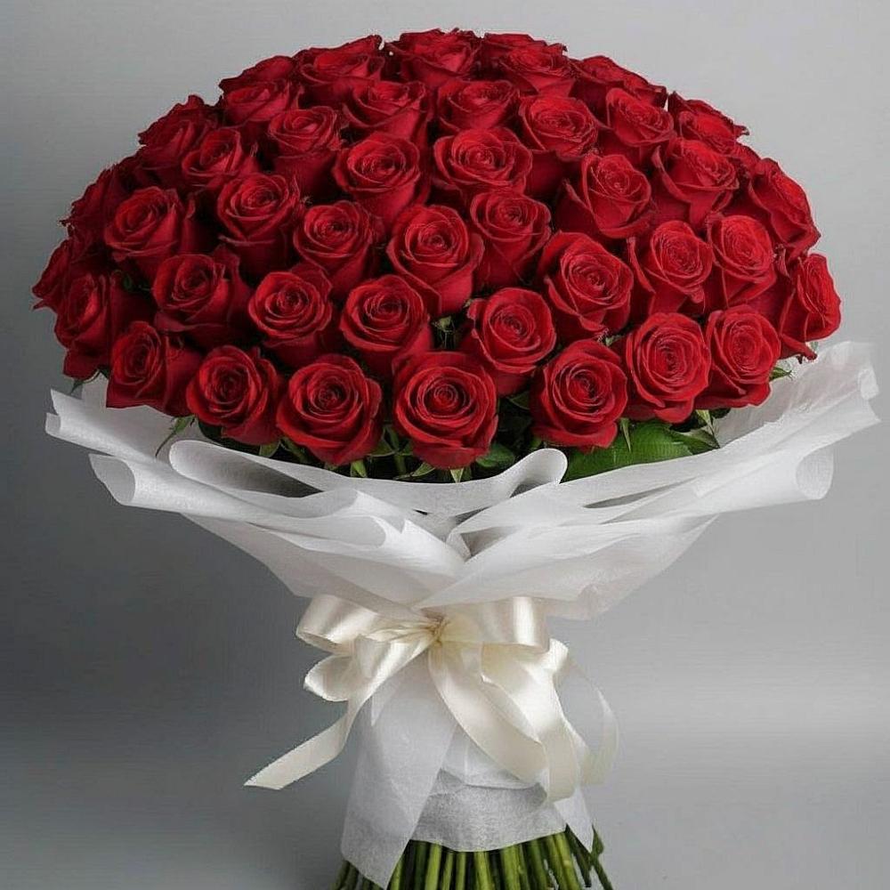 Букет 101 Красная роза Блэк Мэджик в Горшечное