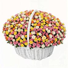 Премиум букет из: Розы в Горшечное