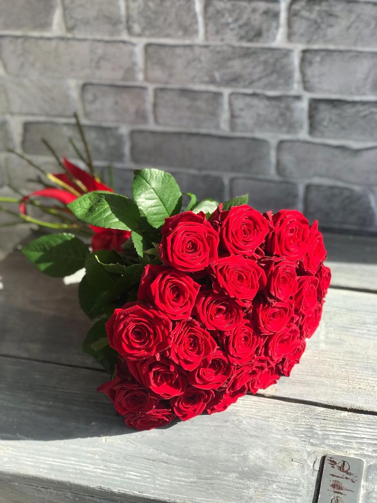 Букет Красные розы Фридом в Горшечное