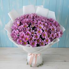 Букет цветов из:  Хризантемы в Горшечное