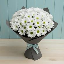 Букет цветов из:  Хризантемы в Горшечное
