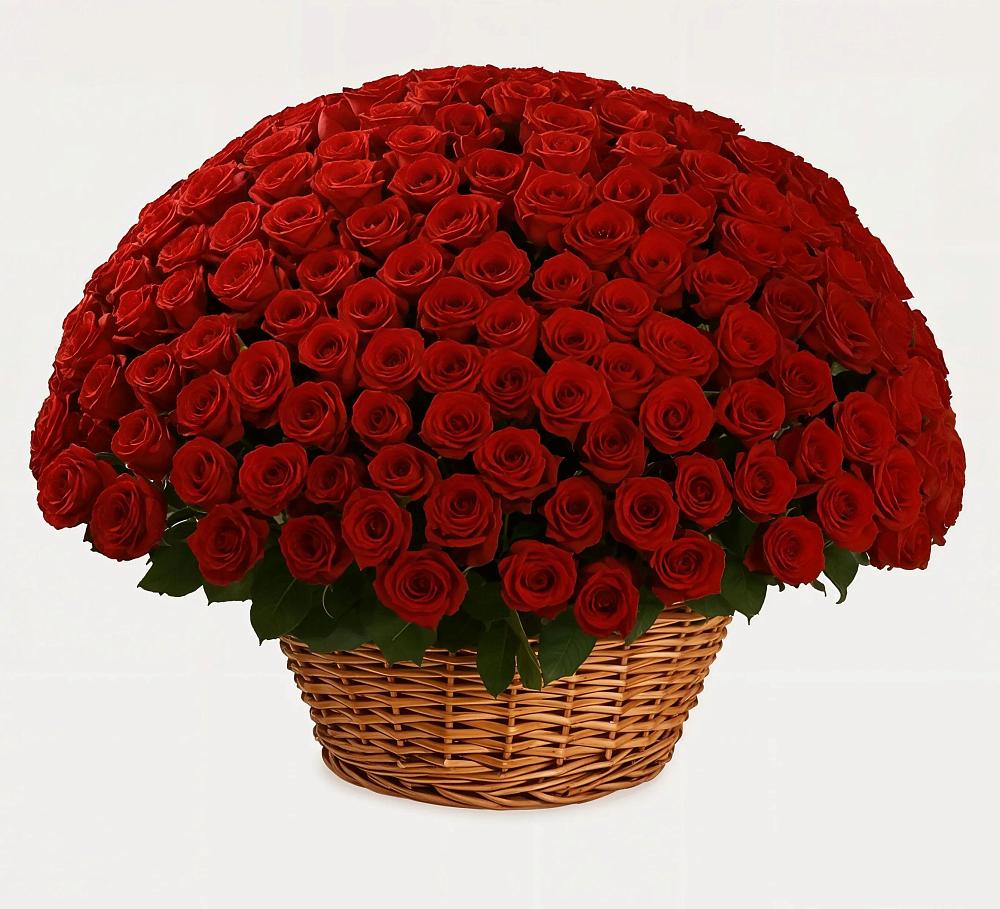 Премиум букет из: Розы в Горшечное