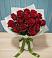 Букет Красные розы в Горшечное