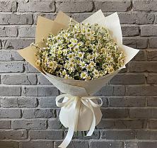 Букет цветов из:  Ромашки #REPLACE_PRED# Горшечное
