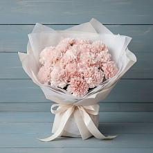 Букет цветов из:  Гвоздики #REPLACE_PRED# Горшечное