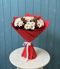 Букет цветов из:  Хризантемы в Горшечное