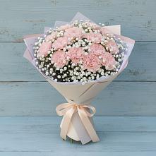 Букет цветов из:  Гвоздики в Горшечное