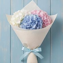 Букет цветов из:  Гортензия в Горшечное