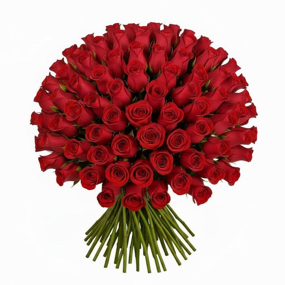 Букет Красные розы Чери Лав в Горшечное