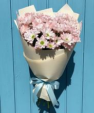 Букет цветов из:  Хризантемы в Горшечное