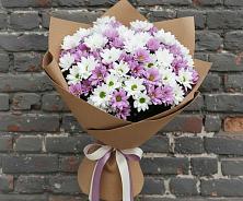 Букет цветов из:  Хризантемы #REPLACE_PRED# Горшечное