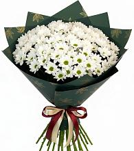 Букет цветов из:  Хризантемы в Горшечное