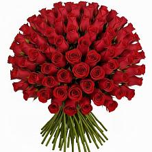 Букет Красные розы Чери Лав в Горшечное