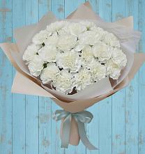 Букет цветов из:  Гвоздики в Горшечное