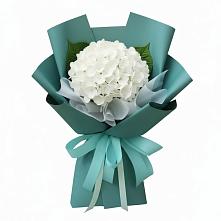 Букет цветов из:  Гортензия в Горшечное